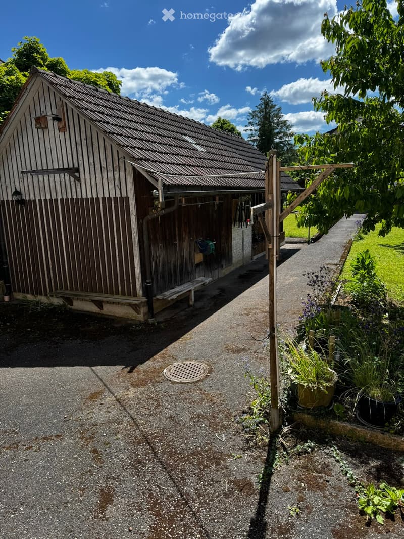 Garden / Outdoor Area. A wooden shed with a metal roof and a gravel pathway leading to it, surrounded by greenery and potted plants.