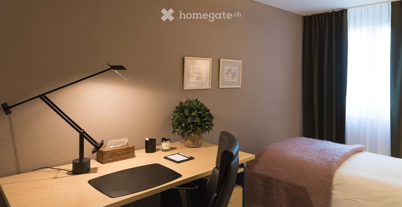 Furnished Room. A well-lit room with a desk, chair, lamp, plant, and framed pictures on the wall. The desk has a tissue box, cup, candle, and mouse pad.