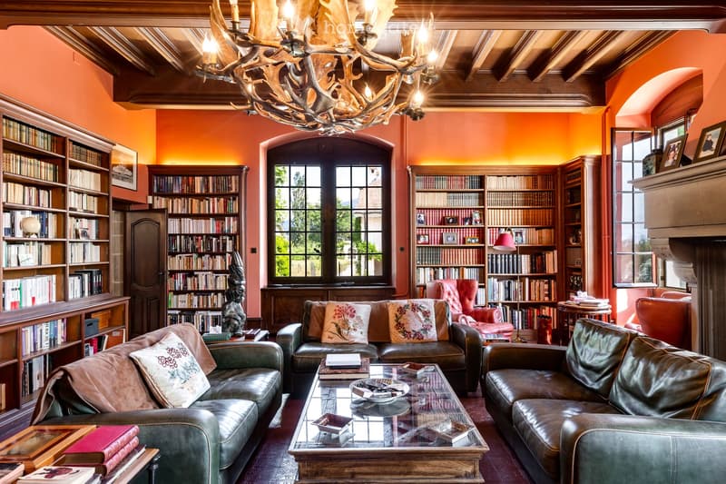 Other. {"visible_features": ["Fireplace"],    "type": "Library",    "description": "large library, wooden shelves filled with books, comfortable leather couches, fireplace, decorative lamps",    "localized_descriptions":        {        "EN": "Librar