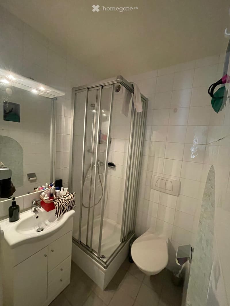 Bathroom. Modern bathroom with a white tiled shower stall, a toilet, a sink with a mirror, and a cabinet beneath the sink. The shower has a glass door, and a towel is hanging on the side.