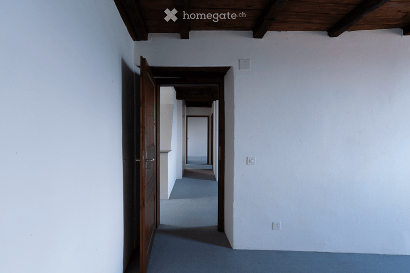 Corridor / Hallway. A long, narrow hallway with white walls, wooden doors, and a blue carpeted floor. The hallway features exposed wooden beams on the ceiling and electrical outlets on the walls.