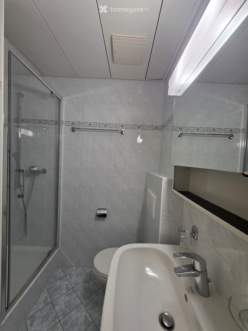 modern bathroom with shower, toilet, sink, mirror, and tiled floor