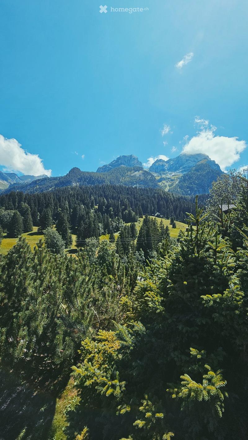 hill, greenery, mountains, clear sky, lush trees