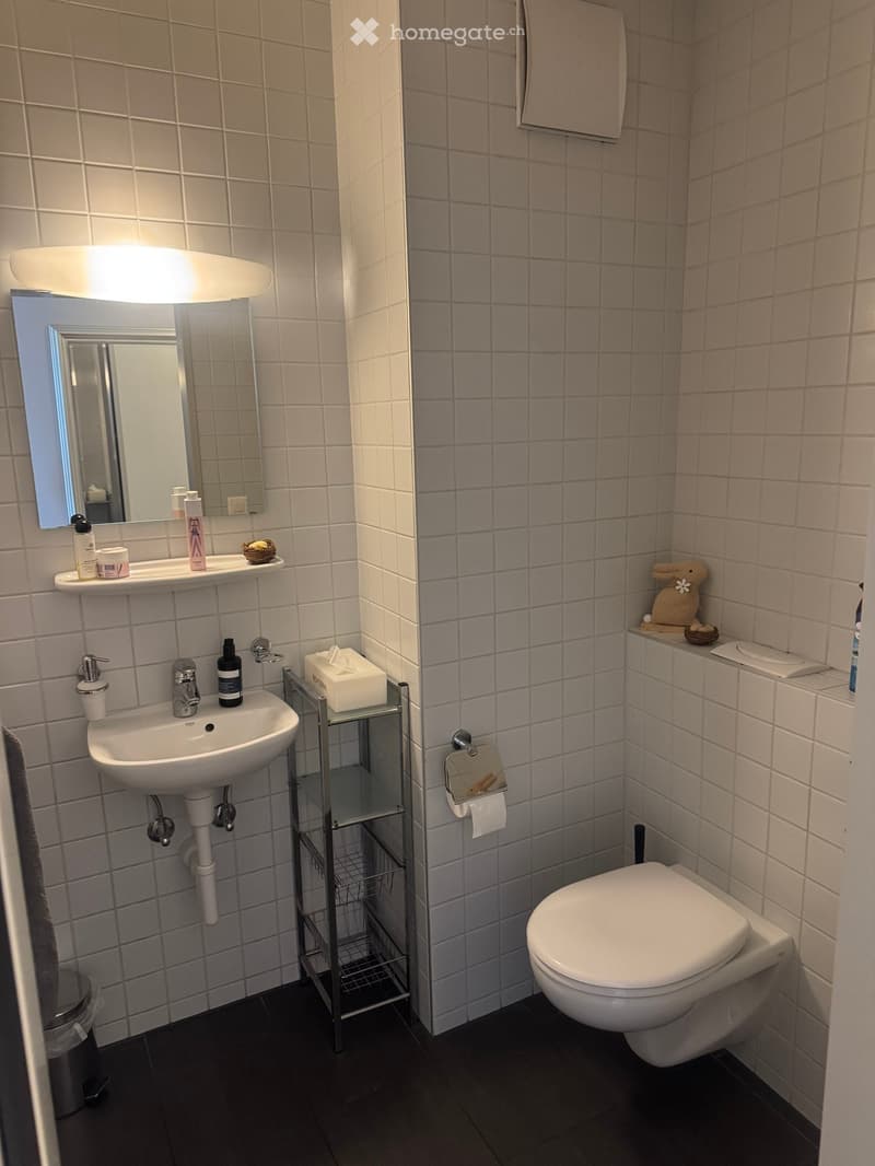 Bathroom with white tiles, sink with faucet, white toilet, metal shelf with tissues, mirror, towel rack, trash bin