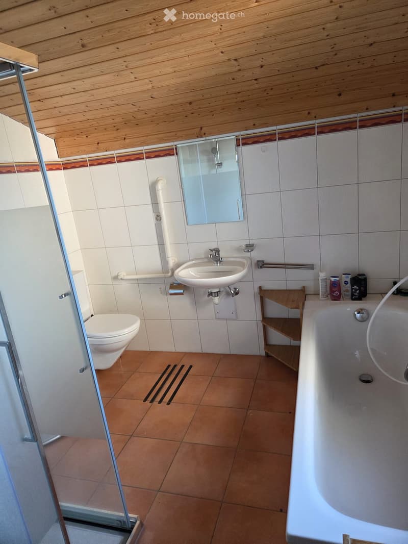 Bathroom. Bathroom with a toilet, sink, bathtub, mirror, and a small wooden shelf holding toiletries. The room features tiled walls and a wooden ceiling.
