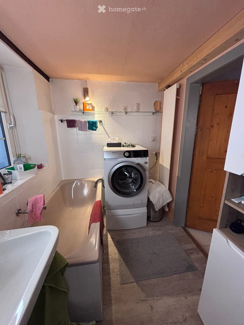 Bathroom. Bathroom with a bathtub, washing machine, towel rack, mirror, shelf, plant, picture frame, bathrobe, and bath mat.