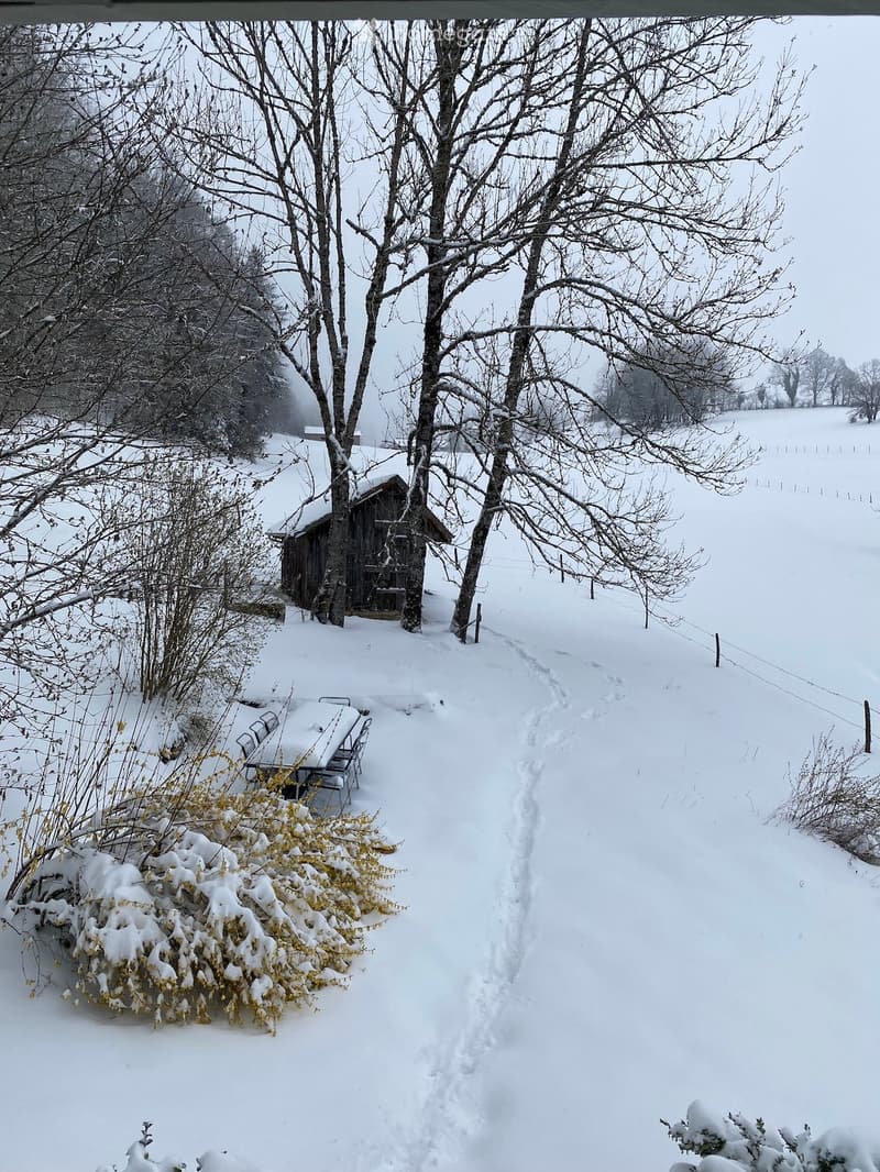 Garden / Outdoor Area. A snowy outdoor area with a wooden shed, bare trees, a snow-covered path, and a small table with chairs partially buried in snow.