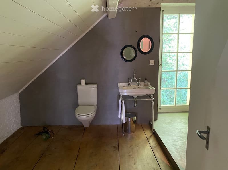 Bathroom. Bathroom with wooden floor, grey walls, white toilet, sink with chrome faucet, two round mirrors, towel, and trash can.