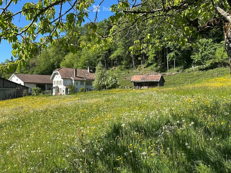 Garden / Outdoor Area. A serene garden area with a white house, surrounded by lush greenery and wildflowers, with additional structures visible in the background.