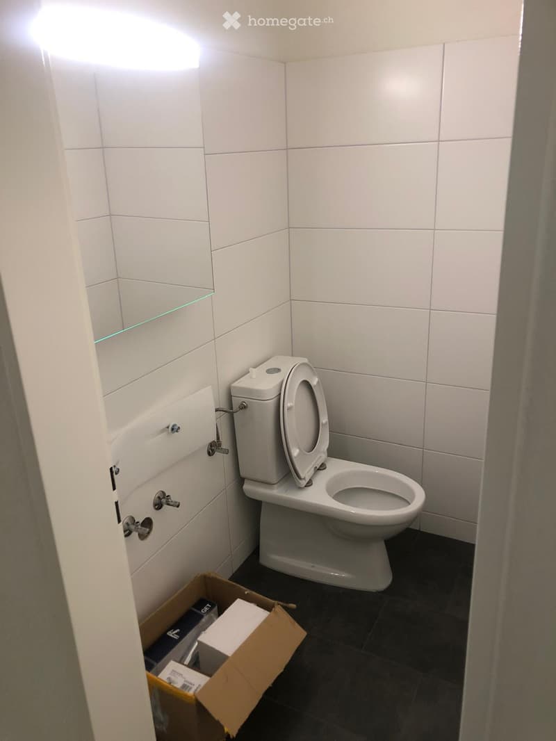 Bathroom. Modern bathroom with white tiled walls, a toilet, a mirrored cabinet, and a cardboard box on the floor.