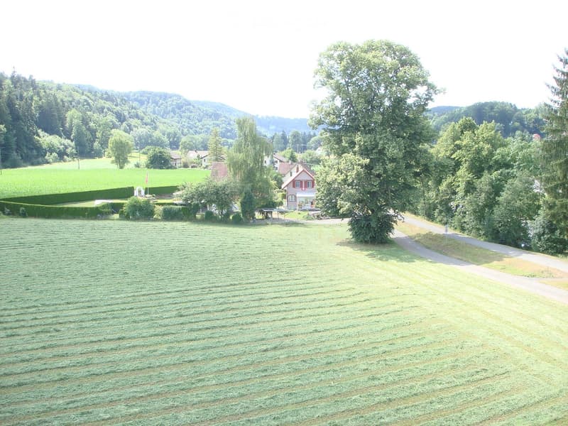Garden / Outdoor Area. A rural landscape with a house, trees, and a road in the background, surrounded by green fields and hills.