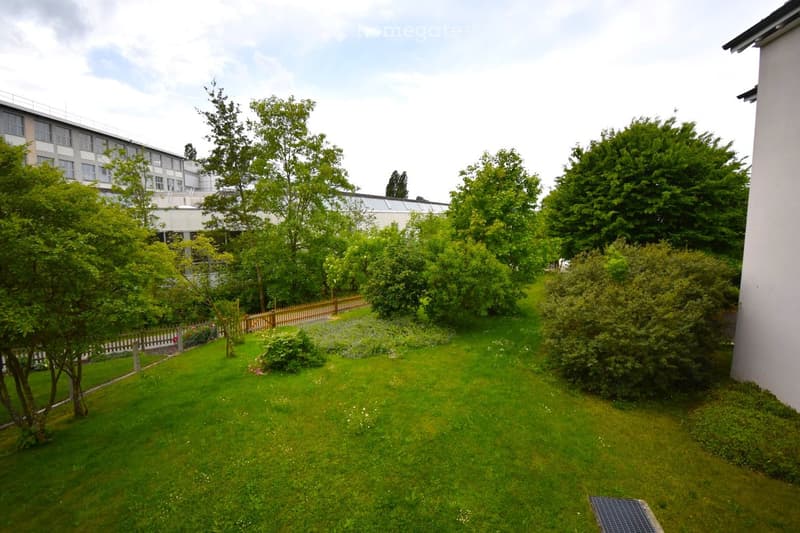Garden / Outdoor Area. A well-maintained garden with green grass, trees, bushes, and a wooden fence separating it from a building.