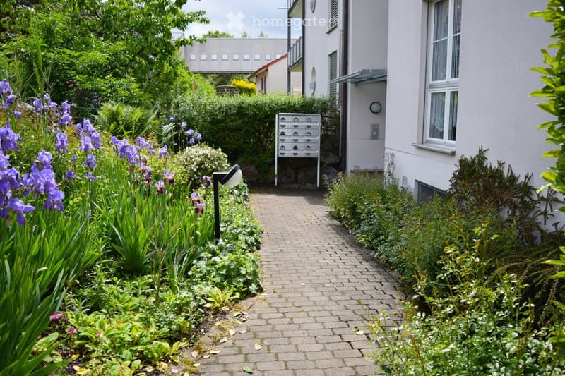 Garden / Outdoor Area. Garden path lined with flowers and shrubs, leading to a building entrance with mailboxes and a modern light fixture.