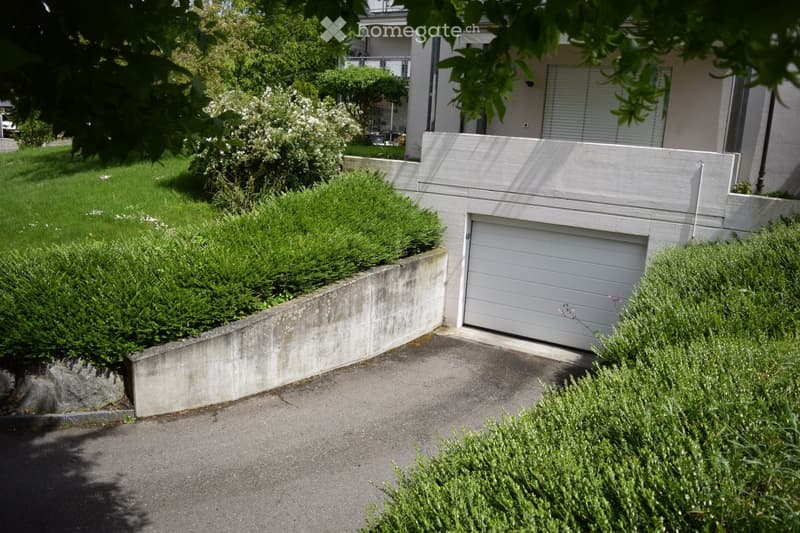 Building. A modern house with a raised ground floor, featuring a garage, well-maintained garden, and neatly trimmed hedges.
