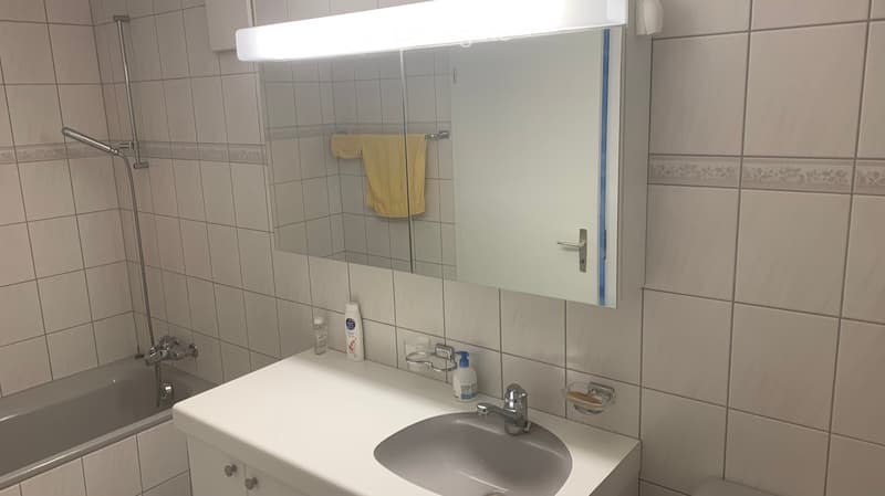 Bathroom. Bathroom with a white sink, mirror, medicine cabinet, and bathtub. A yellow towel hangs on a rack, and various toiletries are placed on the sink counter.