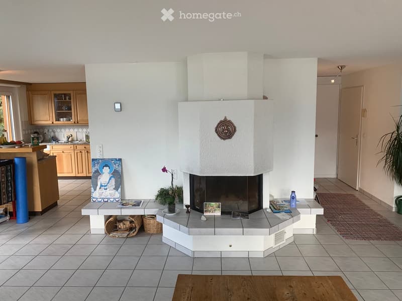 Furnished Room. Living room with a fireplace, a small table with a plant, a painting, and a kitchen area with cabinets and a sink.