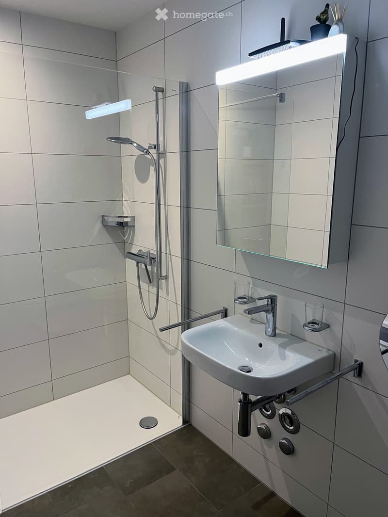 Bathroom. Modern bathroom with a white sink, chrome faucet, large mirror with built-in lighting, and a glass-enclosed shower area with a handheld showerhead.