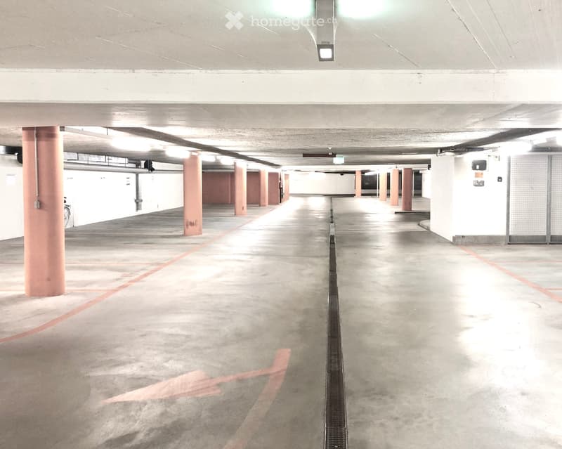 Building. Empty underground parking area with concrete floors, pillars, and marked parking spaces.