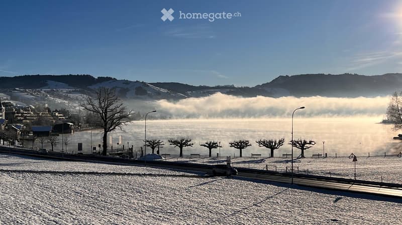 Garden / Outdoor Area. Winter scene with a frozen lake, snow-covered ground, bare trees, and distant mountains under a clear blue sky.