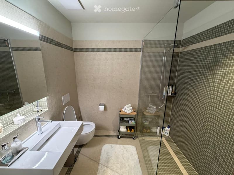Bathroom. Modern bathroom with a large sink, toilet, shower, and a small cart holding towels and toiletries.