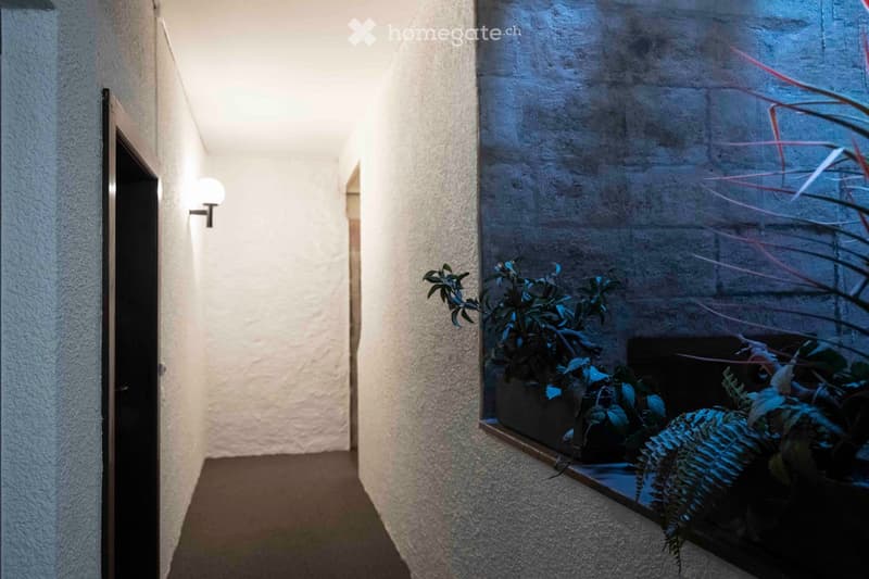 Magnifique Studio meublé en Vieille-Ville de Genève (5)