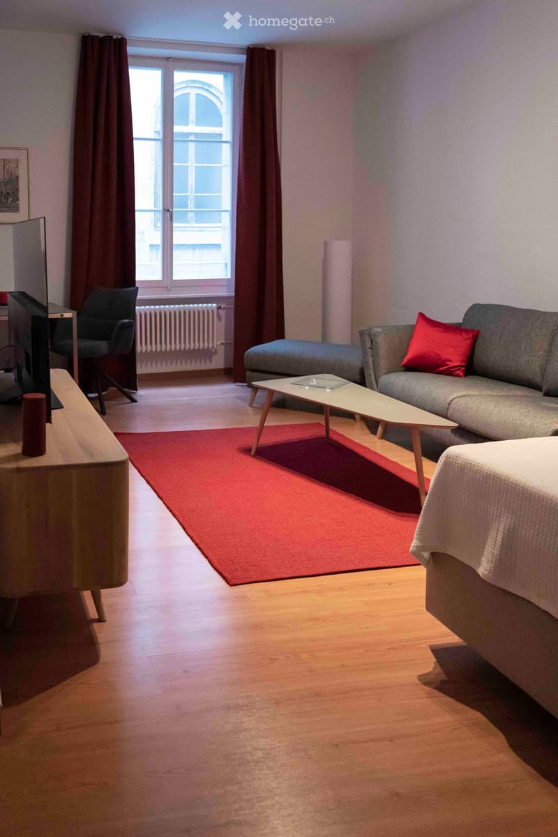 Magnifique Studio meublé en Vieille-Ville de Genève (7)
