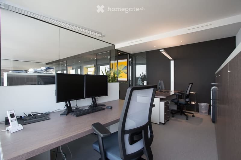 Magical Views Parktower Zug - fully furnished office (12 working places) (2)