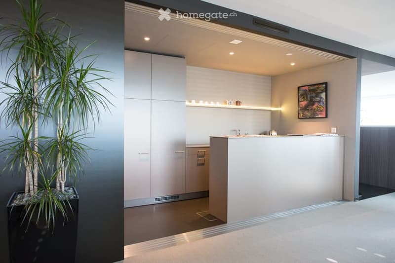 Magical Views Parktower Zug - fully furnished office (12 working places) (6)