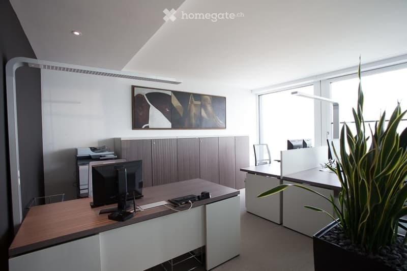 Magical Views Parktower Zug - fully furnished office (12 working places) (3)