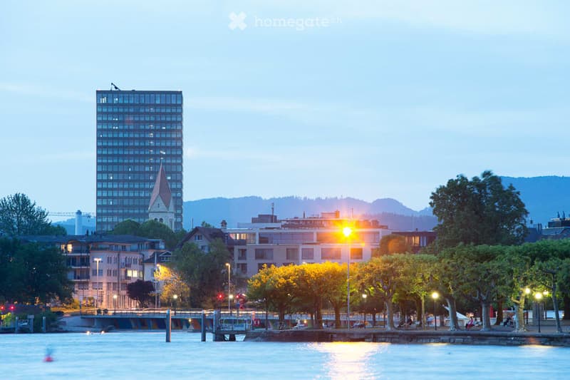 Magical Views Parktower Zug - fully furnished office (12 working places) (9)