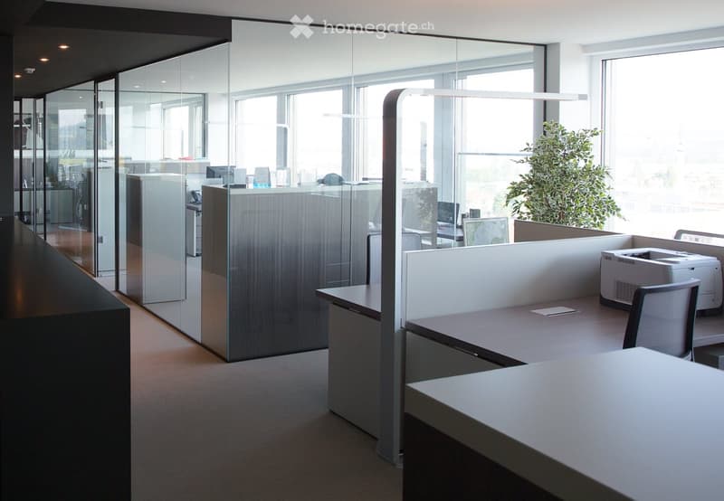 Magical Views Parktower Zug - fully furnished office (12 working places) (5)