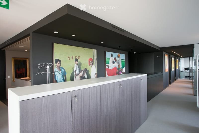 Magical Views Parktower Zug - fully furnished office (12 working places) (7)
