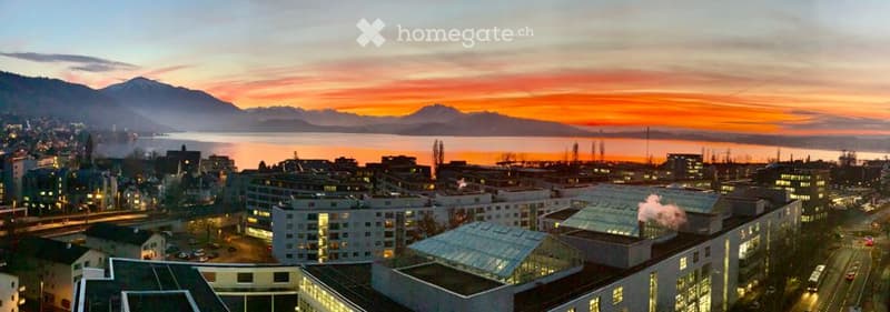 Magical Views Parktower Zug - fully furnished office (12 working places) (10)