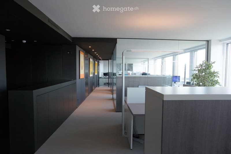 Magical Views Parktower Zug - fully furnished office (12 working places) (4)