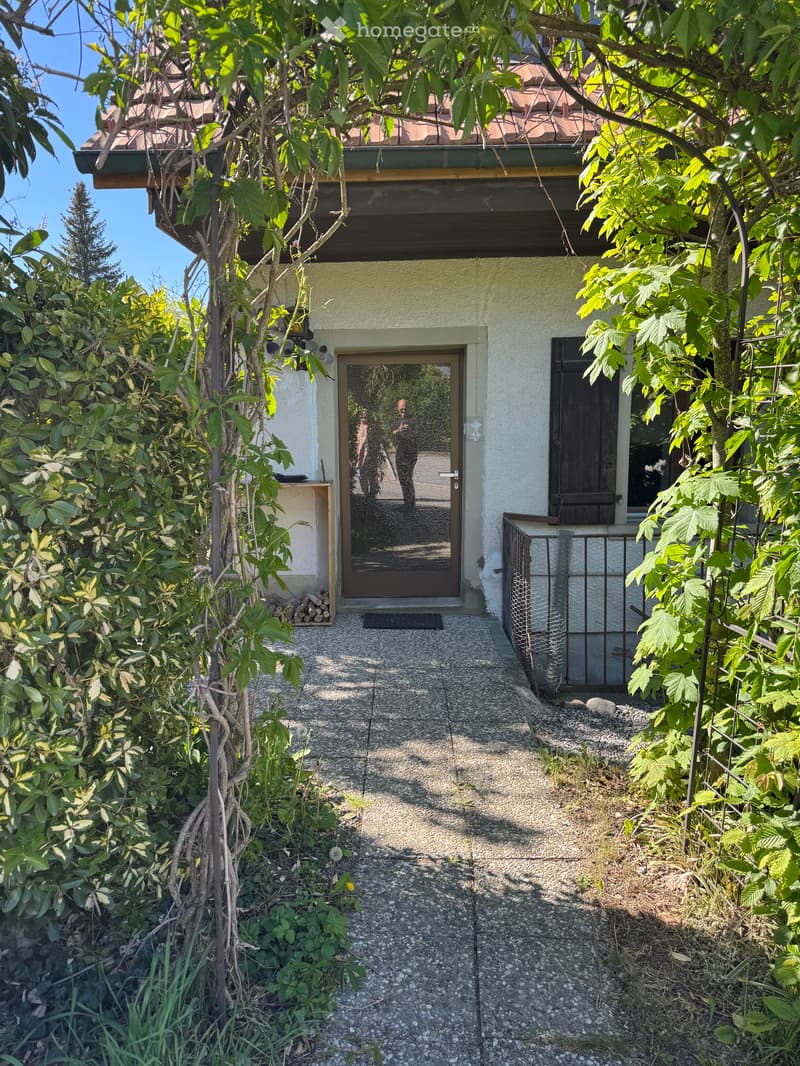 Charmanter Hauszugang mit Kellerabgang