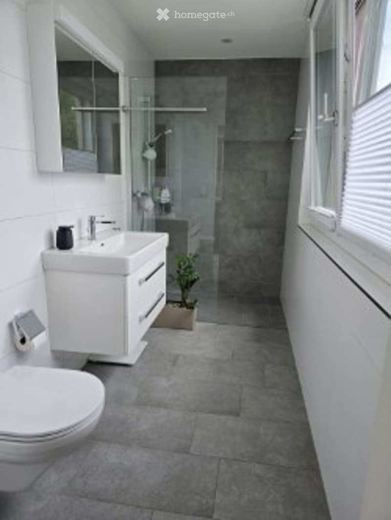 Bathroom. Modern bathroom with white cabinetry, a sink, toilet, and a glass-enclosed shower. The floor and walls are tiled in dark grey, and a small potted plant is placed near the shower area.