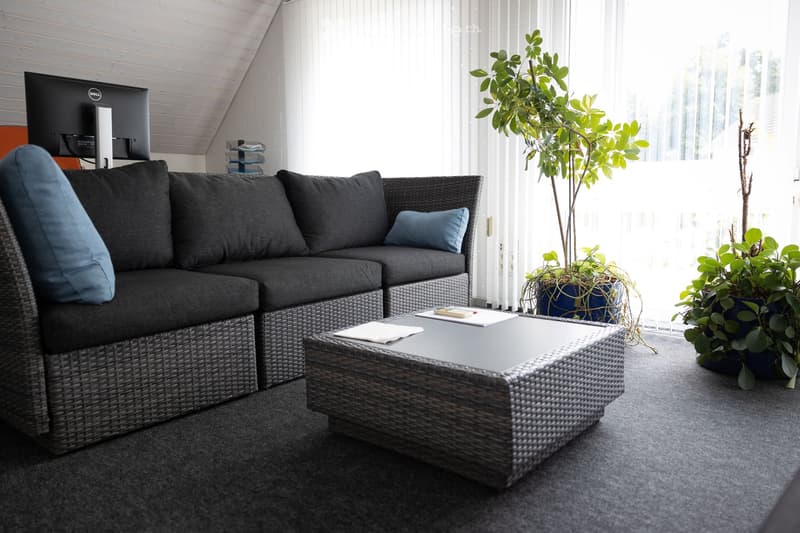 Furnished Room. A modern living room with a grey wicker sofa, a black coffee table, a large screen, and potted plants near large windows.