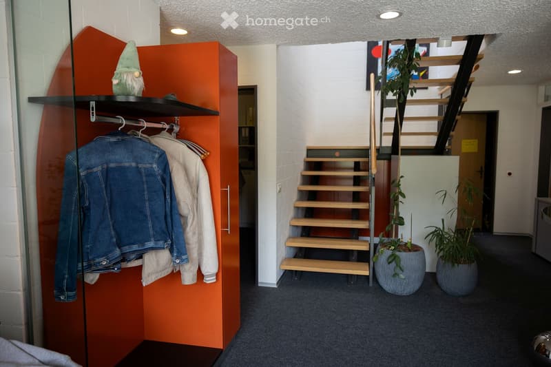 Corridor / Hallway. Modern hallway with a staircase leading upwards, wooden steps, white walls, and potted plants on the floor.