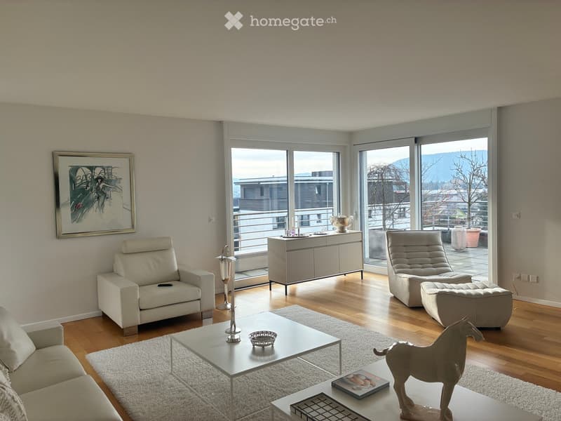 Traumhafte 5-Zimmer-Duplex-Wohnung mit Aussicht in Würenlingen (2)