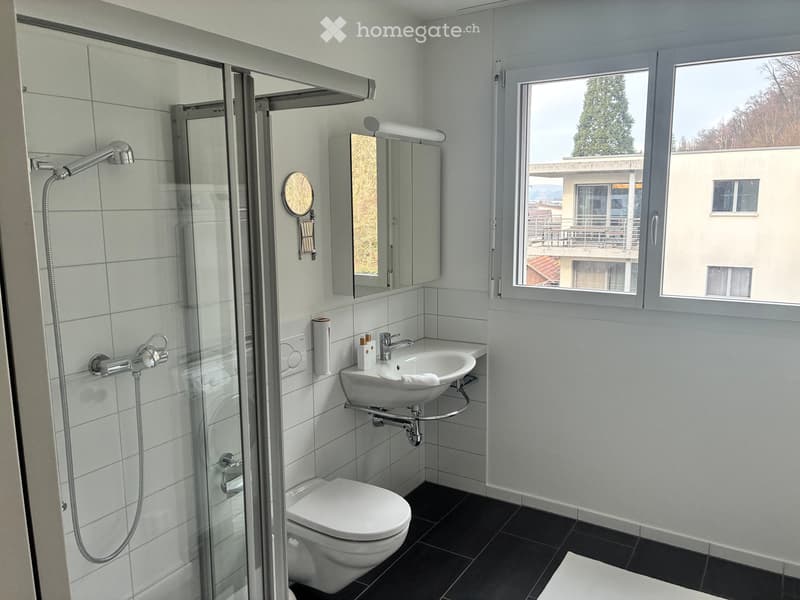 Traumhafte 5-Zimmer-Duplex-Wohnung mit Aussicht in Würenlingen (7)