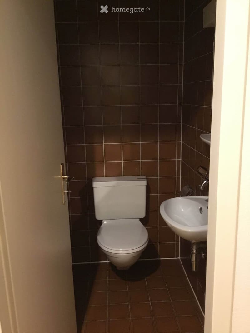 Bathroom. Small bathroom with dark brown tiles, a white toilet, and a white sink with a chrome faucet.