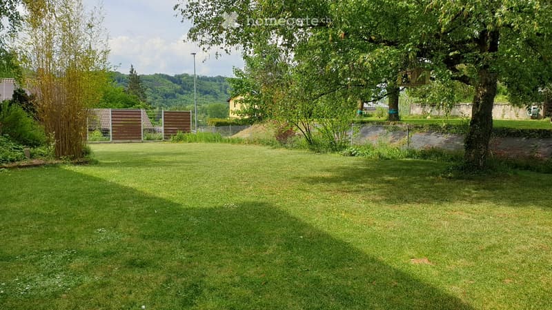 Garden / Outdoor Area. A well-maintained lawn with trees, a fence, and a small wooden structure in the background.