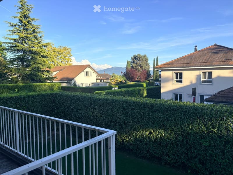 Garden / Outdoor Area. A well-maintained garden with neatly trimmed hedges, a white metal railing, and a view of neighboring houses and trees.