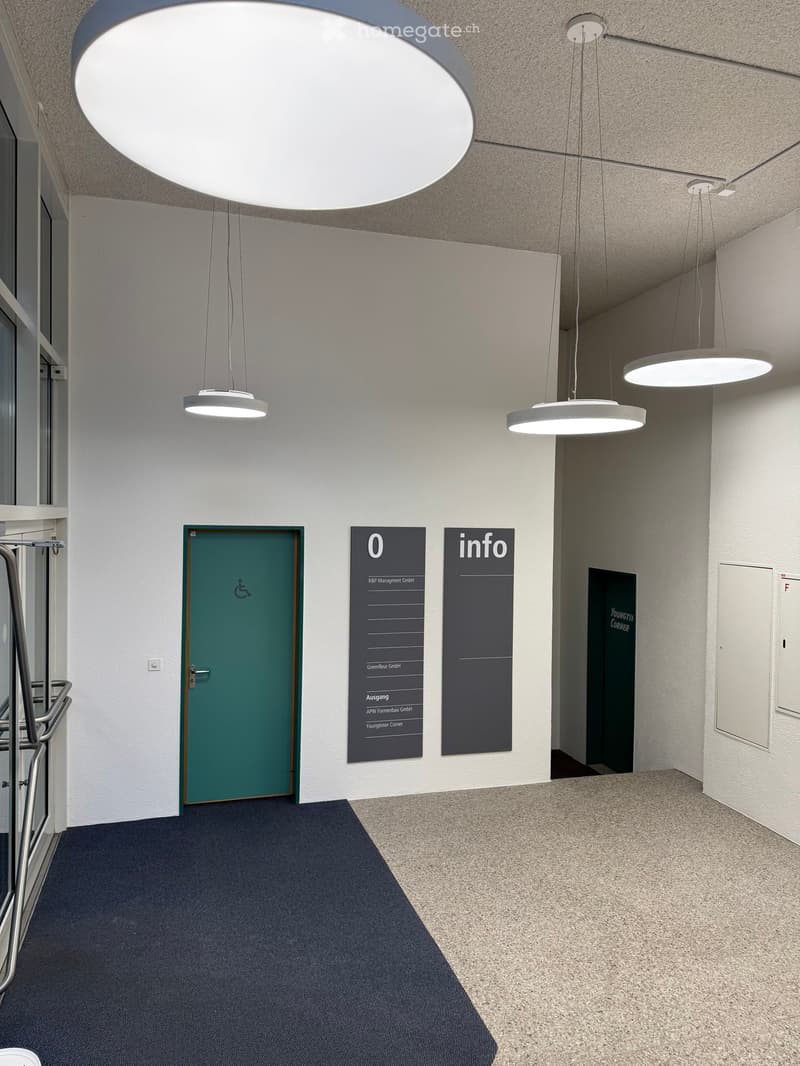 empty hallway, hanging lights, carpeted floor, green door, info boards, glass window