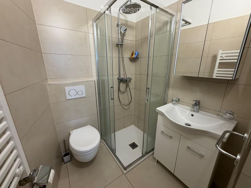 Bathroom. Modern bathroom with a glass-enclosed shower, toilet, sink, and built-in cabinet. Light beige tiles and a white radiator are visible.
