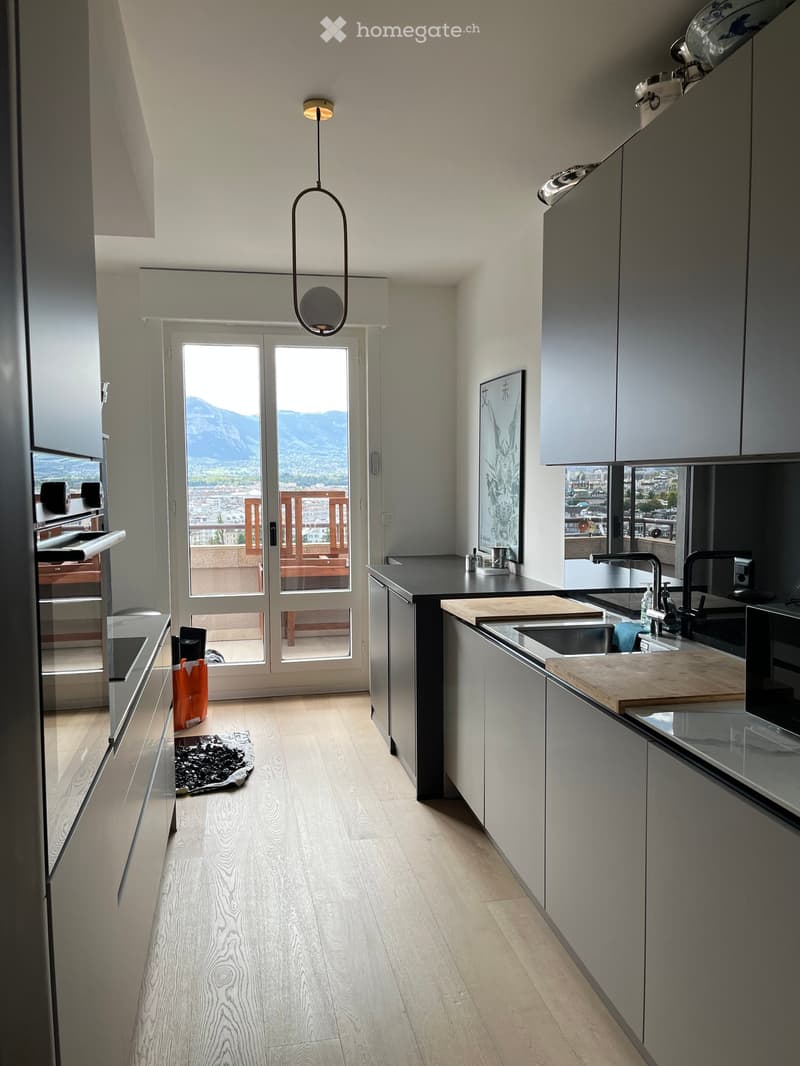 Modern kitchen with light wood flooring, grey cabinets, stainless steel appliances, and a view of mountains through large glass doors.