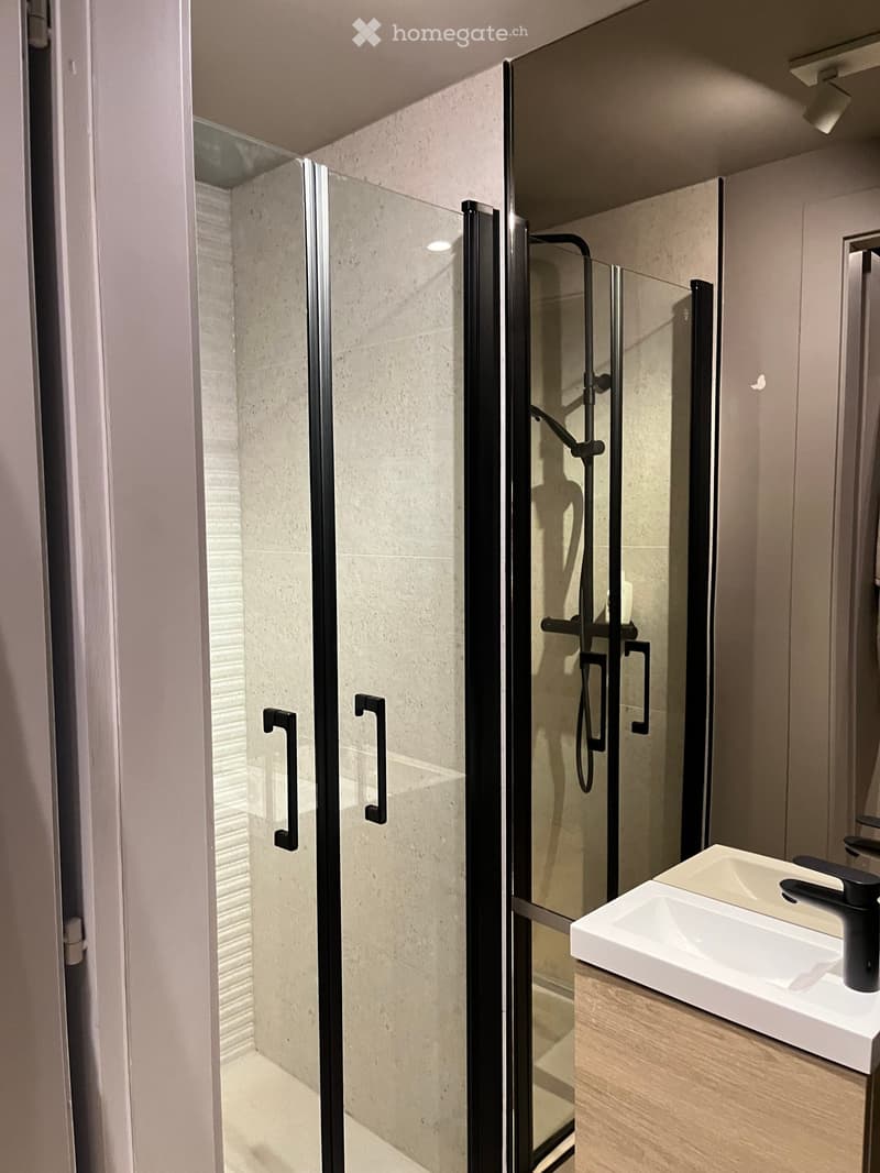 Modern bathroom with a white sink, black faucet, and a glass-enclosed shower stall with black handles.