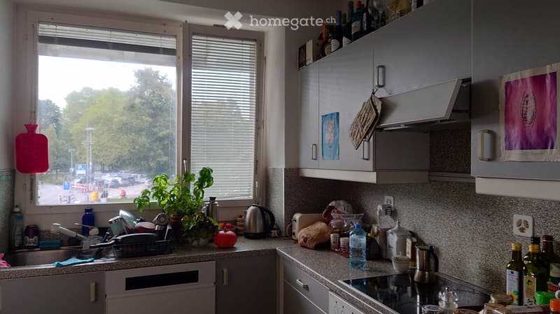 sink, dishwasher, washing machine, cabinets, countertops, stove, fridge