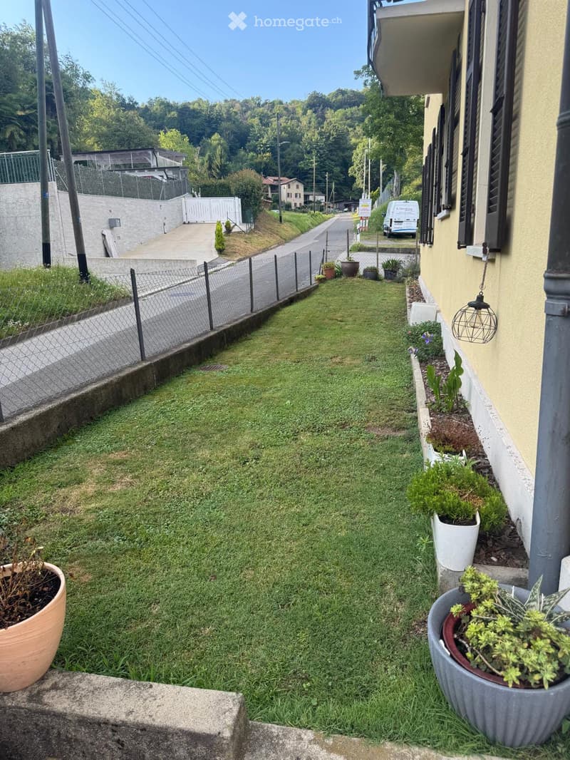 A narrow, grassy pathway bordered by a chain-link fence on one side and a building with potted plants on the other. The pathway leads to a street with a few houses and trees in the background.