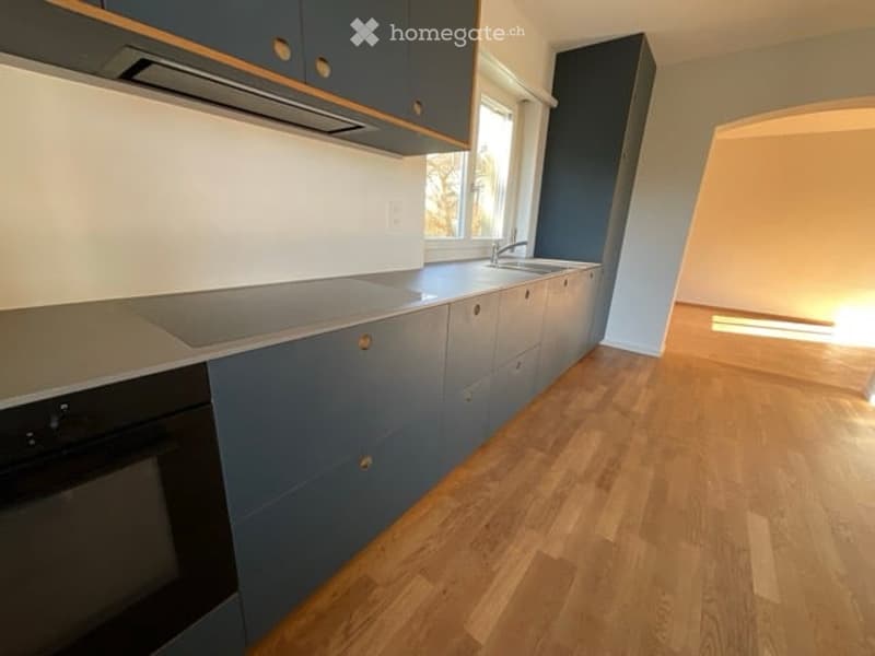 Modern kitchen with light wood flooring, dark blue cabinets, and stainless steel appliances including a sink, faucet, and oven.